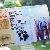 Ángel Osuna, adiestrador, la nueva ley trata de perseguir el maltrato y normaliza la presencia de mascotas en espacios públicos Ángel Osuna, adiestrador, la nueva ley trata de perseguir el maltrato y normaliza la presencia de mascotas en espacios públicos