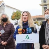 Ana Mestre, delegada del Gobierno de la Junta Ana Mestre, delegada del Gobierno de la Junta