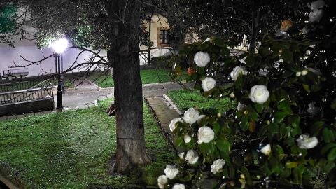 Buen mi&eacute;rcoles, 10&ordm;C pl&aacute;cidos... 