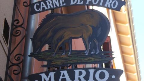 Carnicer&iacute;a de Potro Mario