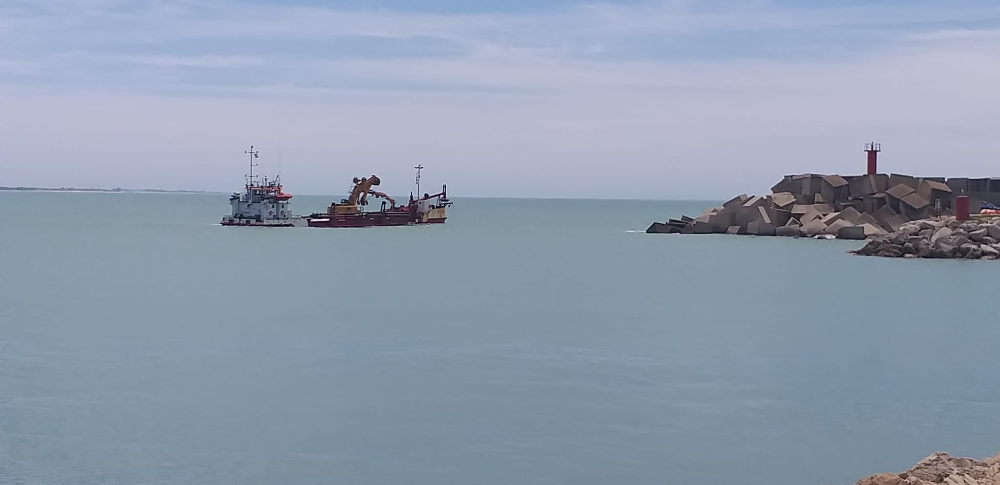 Los pescadores de Conil piden 'amparo' a la Junta por las consecuencias del alga asiática Los pescadores de Conil piden 'amparo' a la Junta por las consecuencias del alga asiática