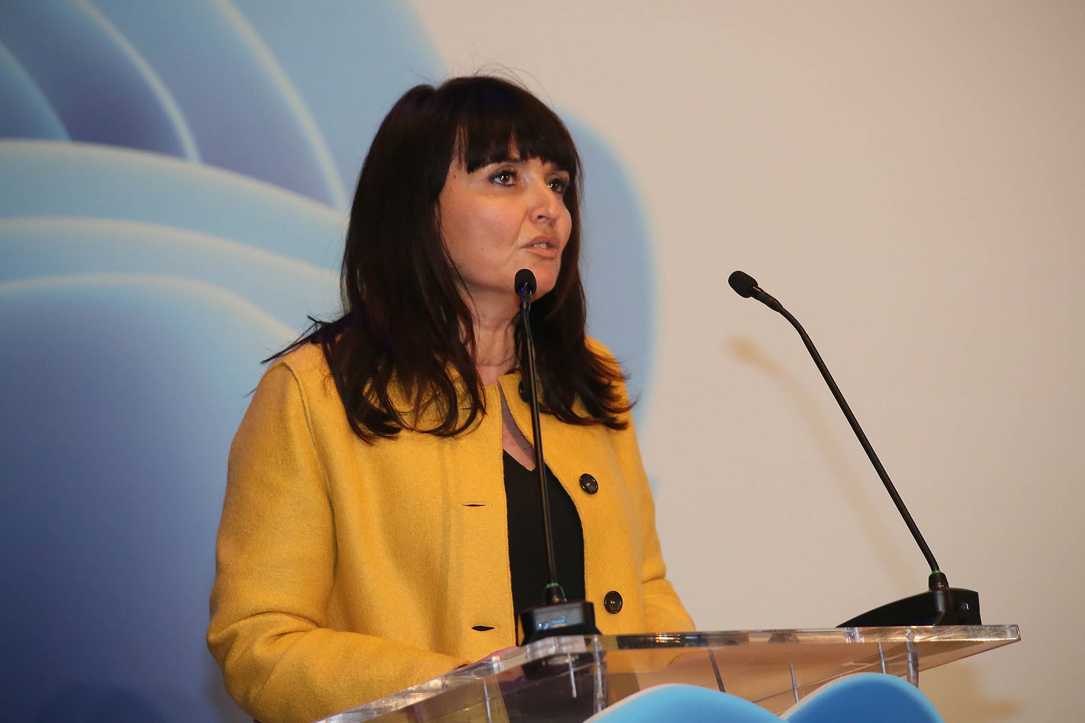 La Diputación inaugura un nuevo espacio dedicado a la transparencia, participación ciudadana y buen gobierno La Diputación inaugura un nuevo espacio dedicado a la transparencia, participación ciudadana y buen gobierno