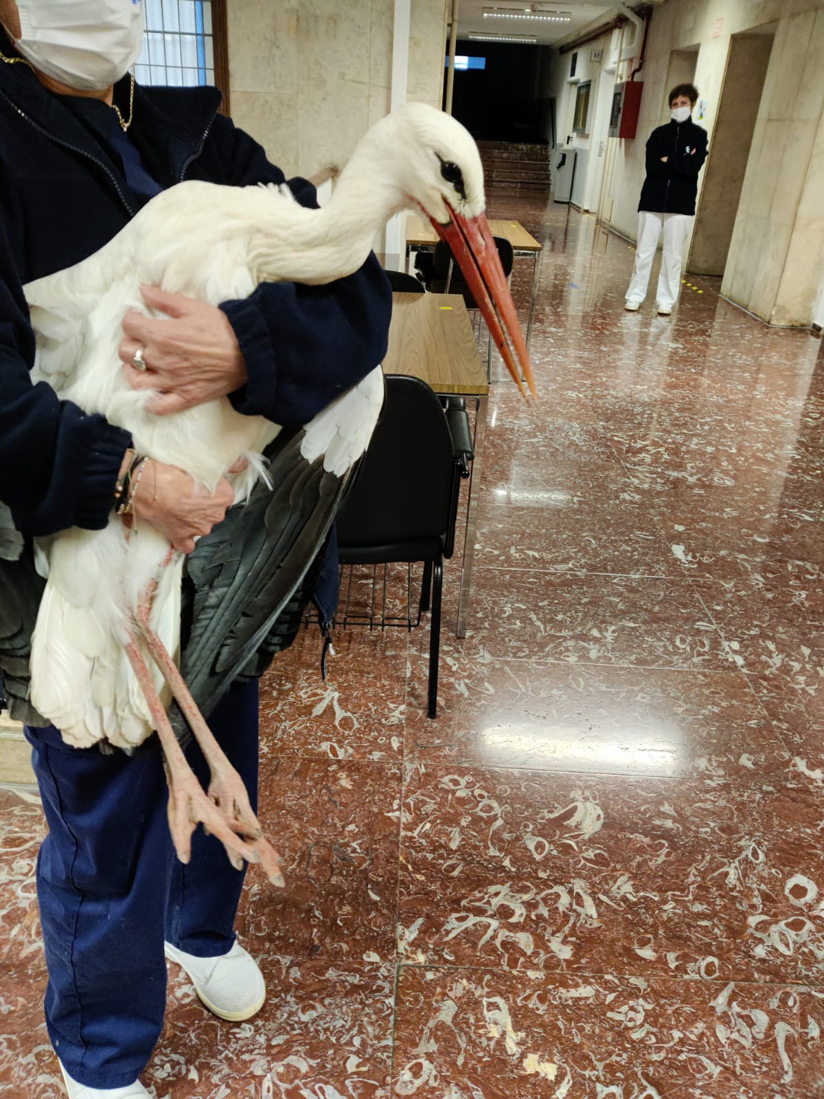 Un alumno especial se cuela en la Facultad de Medicina Un alumno especial se cuela en la Facultad de Medicina