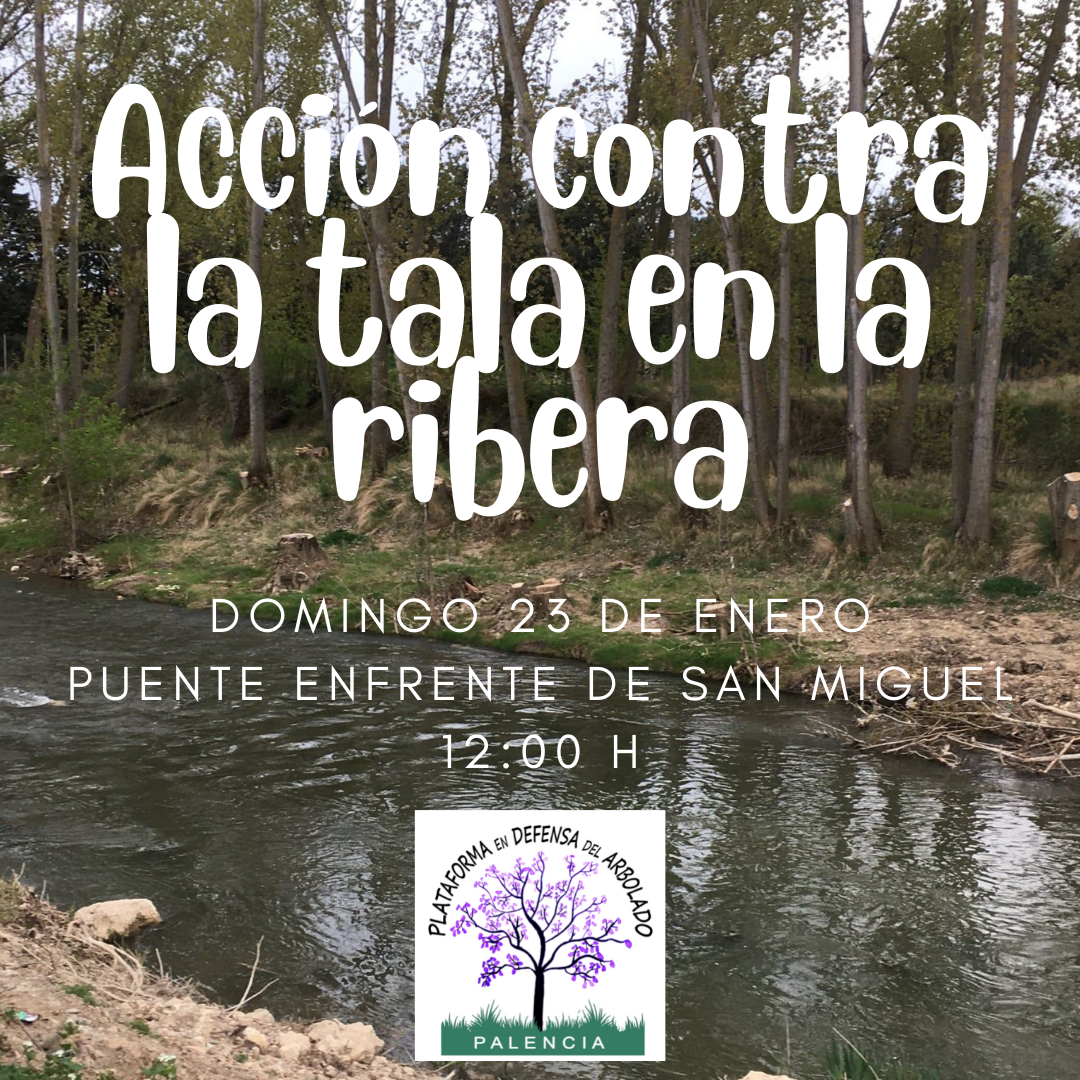 La Plataforma en Defensa del Arbolado muestra su oposición a la tala en la ribera del Carrión La Plataforma en Defensa del Arbolado muestra su oposición a la tala en la ribera del Carrión