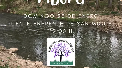 La Plataforma en Defensa del Arbolado muestra su oposición a la tala en la ribera del Carrión Municipal