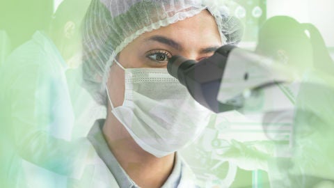 Constantes y Vitales (Secci&oacute;n) 2022