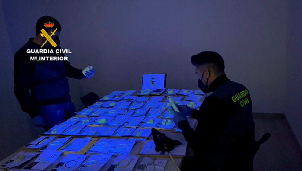 La Guardia Civil con las piezas de marfil incautadas