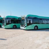 Nuevos autobuses urbanos híbridos en San Fernando