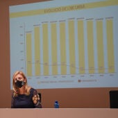  Castelló reduce un 5,5% los ingresos por IBI Urbano desde 2014 