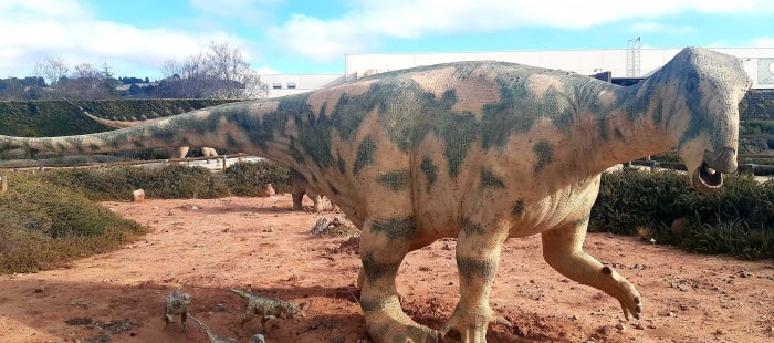 El Iguanodon Galvensis amplía su antigüedad El Iguanodon Galvensis amplía su antigüedad