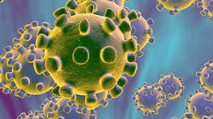 La tasa de incidencia de la covid-19 se sitúa por debajo de los 1000 casos en Crevillent, Santa Pola, Elda, Petrer y Novelda La tasa de incidencia de la covid-19 se sitúa por debajo de los 1000 casos en Crevillent, Santa Pola, Elda, Petrer y Novelda