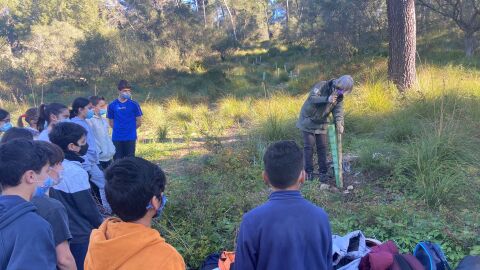 Alumnos del colegio de s&#39;Albufera de Alcudia, participan en las jornadas de reforestación, organizadas por el Ayuntamiento del municipio, en el Puig de Sant Martí. 