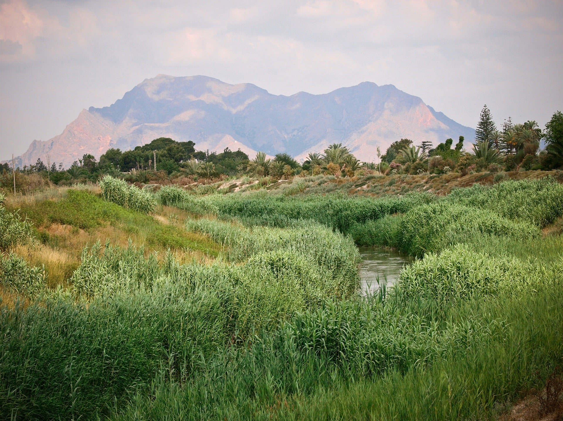 Concienciar a la población para que participen y adopten medidas para la conservación del medio ambiente Concienciar a la población para que participen y adopten medidas para la conservación del medio ambiente