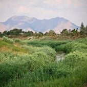 Concienciar a la población para que participen y adopten medidas para la conservación del medio ambiente 