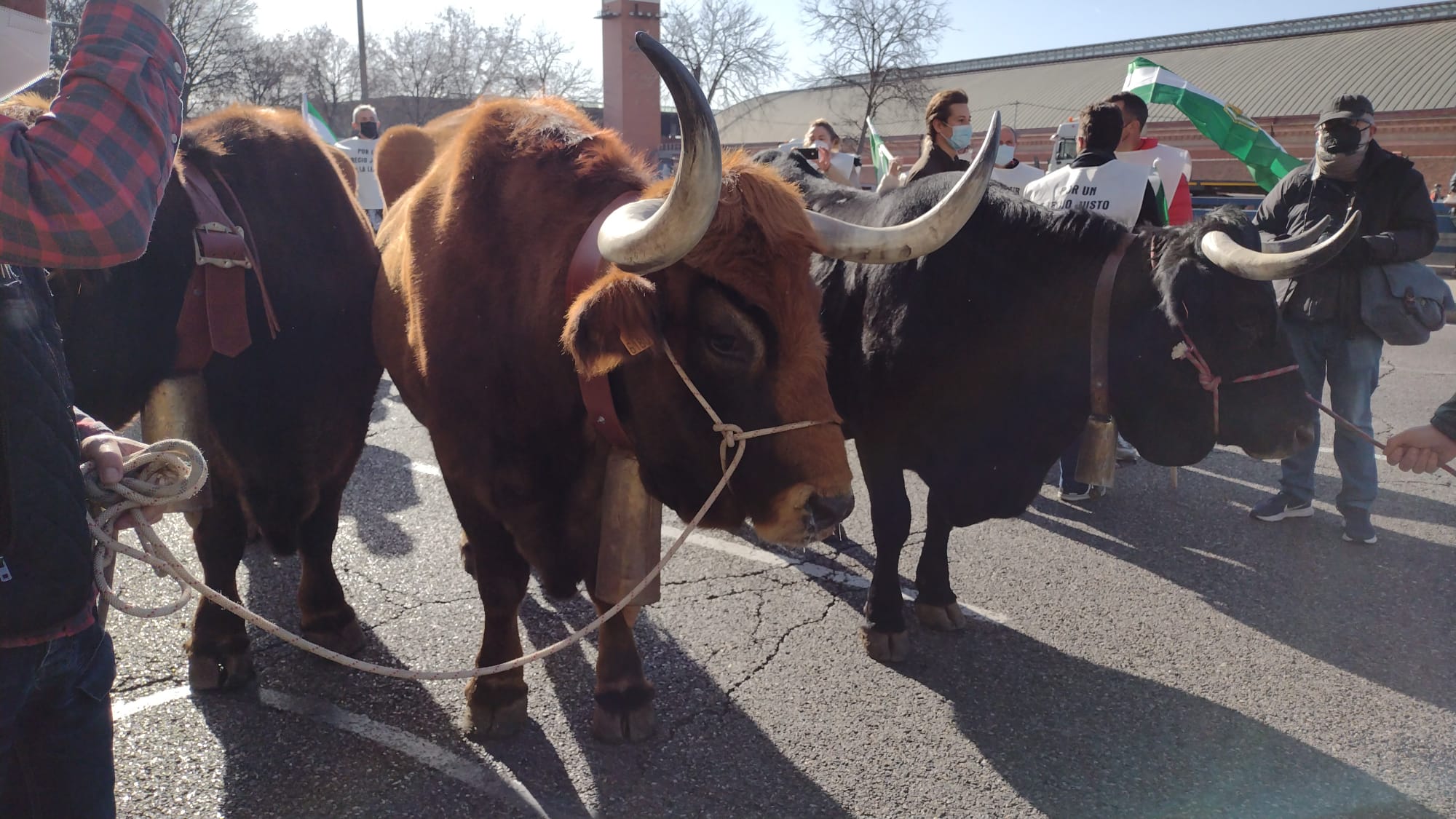 Ganaderos protestan frente a Agricultura y solicitan vender el litro de leche a coste real Ganaderos protestan frente a Agricultura y solicitan vender el litro de leche a coste real