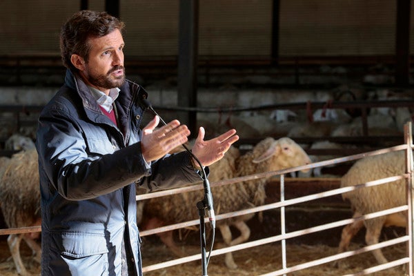 Elecciones Castilla y León: Pablo Casado recorrerá gran parte de la comunidad, mientras que Pedro Sánchez solo se dejará ver cuatro veces Elecciones Castilla y León: Pablo Casado recorrerá gran parte de la comunidad, mientras que Pedro Sánchez solo se dejará ver cuatro veces