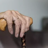 Las residencias de mayores piden a López Miras que intervenga ante la desconsideración que reciben de Isabel Franco Las residencias de mayores piden a López Miras que intervenga ante la desconsideración que reciben de Isabel Franco