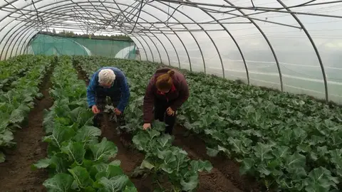 ONDA CERO ALMERIA ONDA CERO ALMERIA