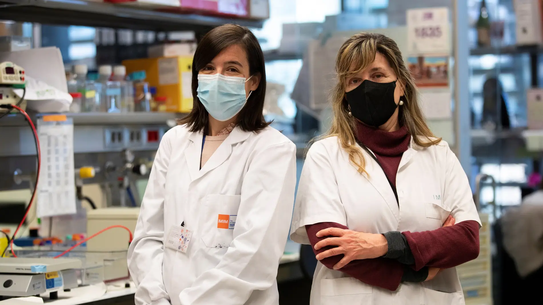 El CSIC descubre una nueva vía para la detección precoz del cáncer de páncreas 