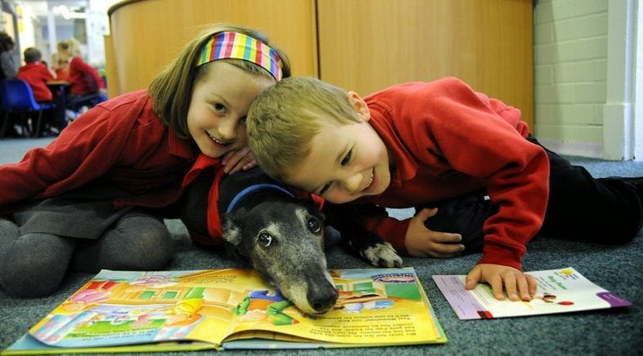 Cómo los perros pueden ayudar en el proceso de lectura Cómo los perros pueden ayudar en el proceso de lectura