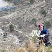 Las quejas de la Concejalía de Medio Ambiente obligan al Consell a actuar contra el Cactus Arizona 