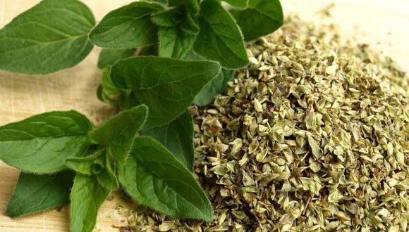 Si tienes esta planta en tu casa, tienes un tesoro: los beneficios del orégano Si tienes esta planta en tu casa, tienes un tesoro: los beneficios del orégano
