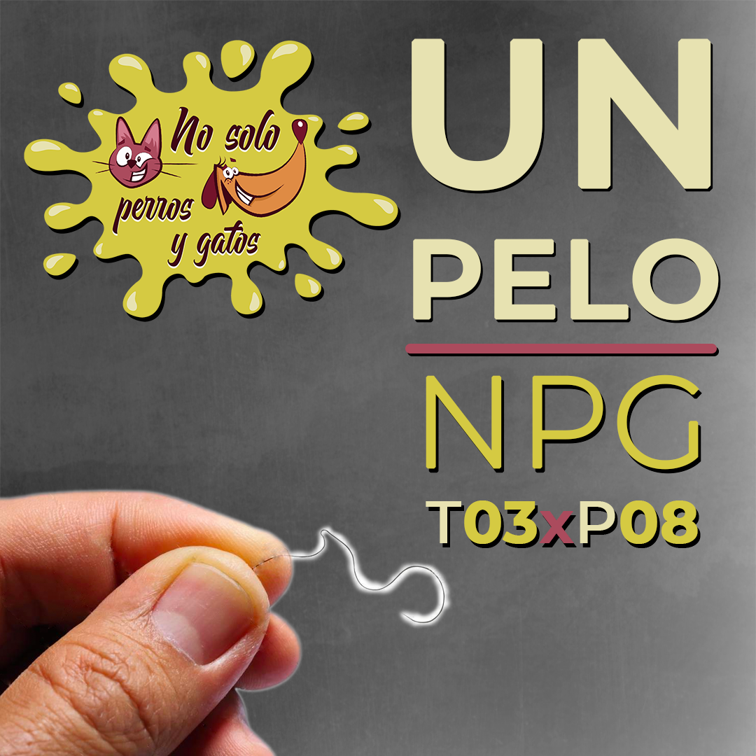 No Solo Perros y Gatos T03xE08: Cuando los micros críen pelo No Solo Perros y Gatos T03xE08: Cuando los micros críen pelo