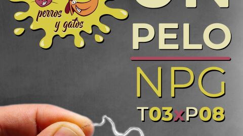 No Solo Perros y Gatos T03xE08: Cuando los micros cr&iacute;en pelo