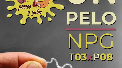 No Solo Perros y Gatos T03xE08: Cuando los micros críen pelo No Solo Perros y Gatos T03xE08: Cuando los micros críen pelo