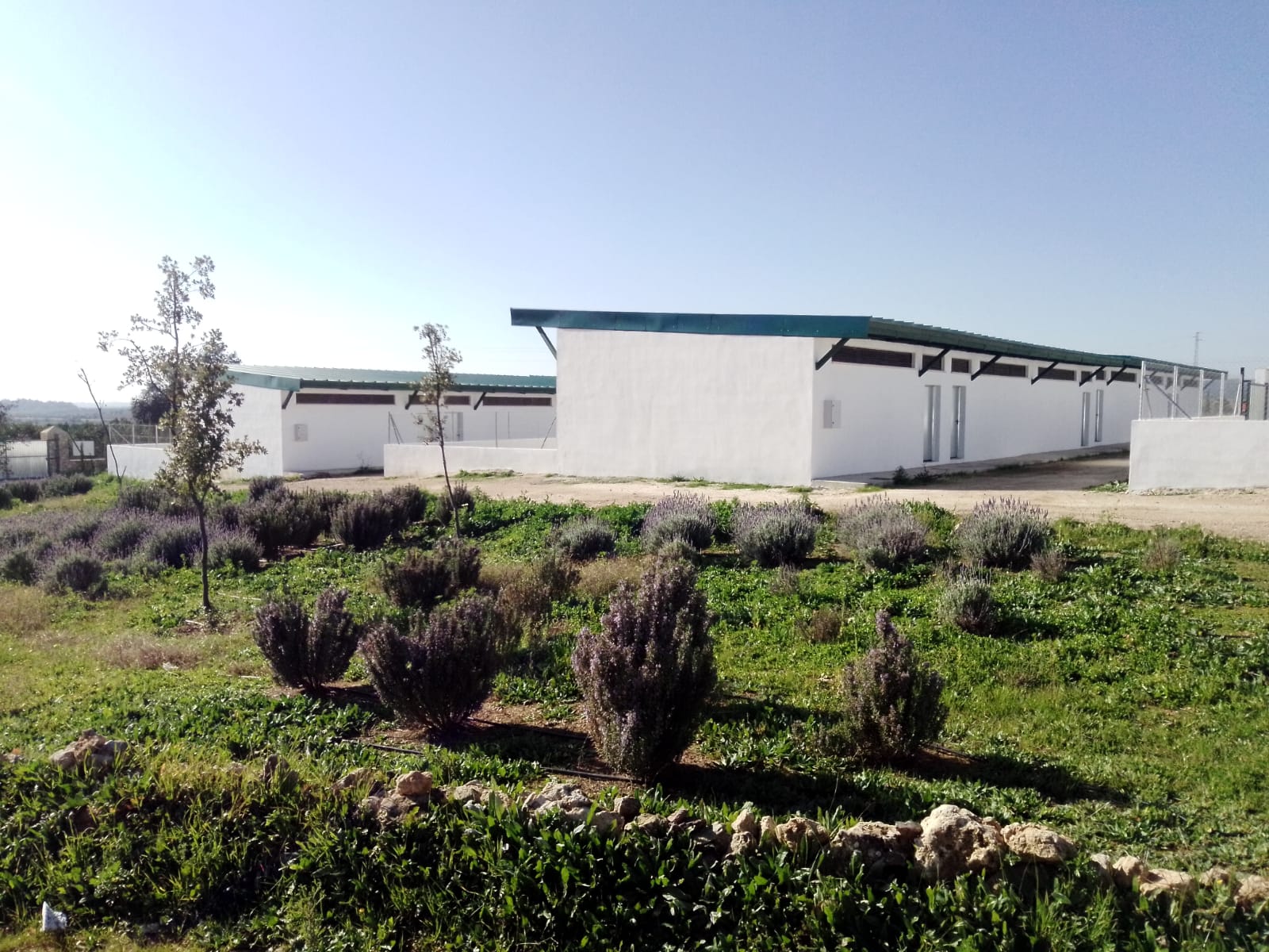 Será uno de los primeros municipios de la provincia e incluso de Andalucía en contar con esta zona. Será uno de los primeros municipios de la provincia e incluso de Andalucía en contar con esta zona.