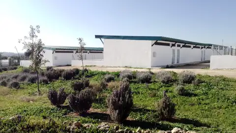 Hornachuelos. Zona Ganadera Hornachuelos. Zona Ganadera