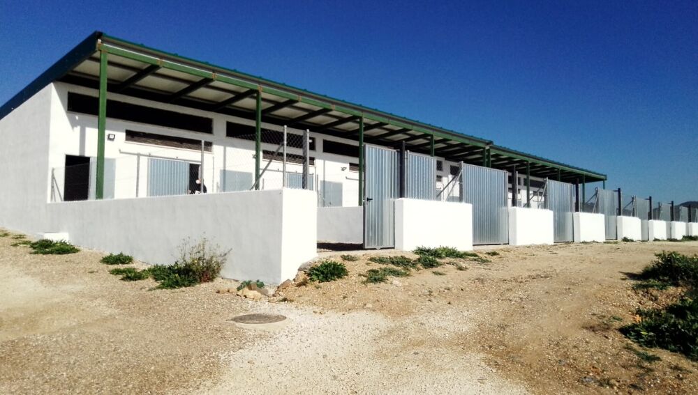 Zona ganadera Hornachuelos