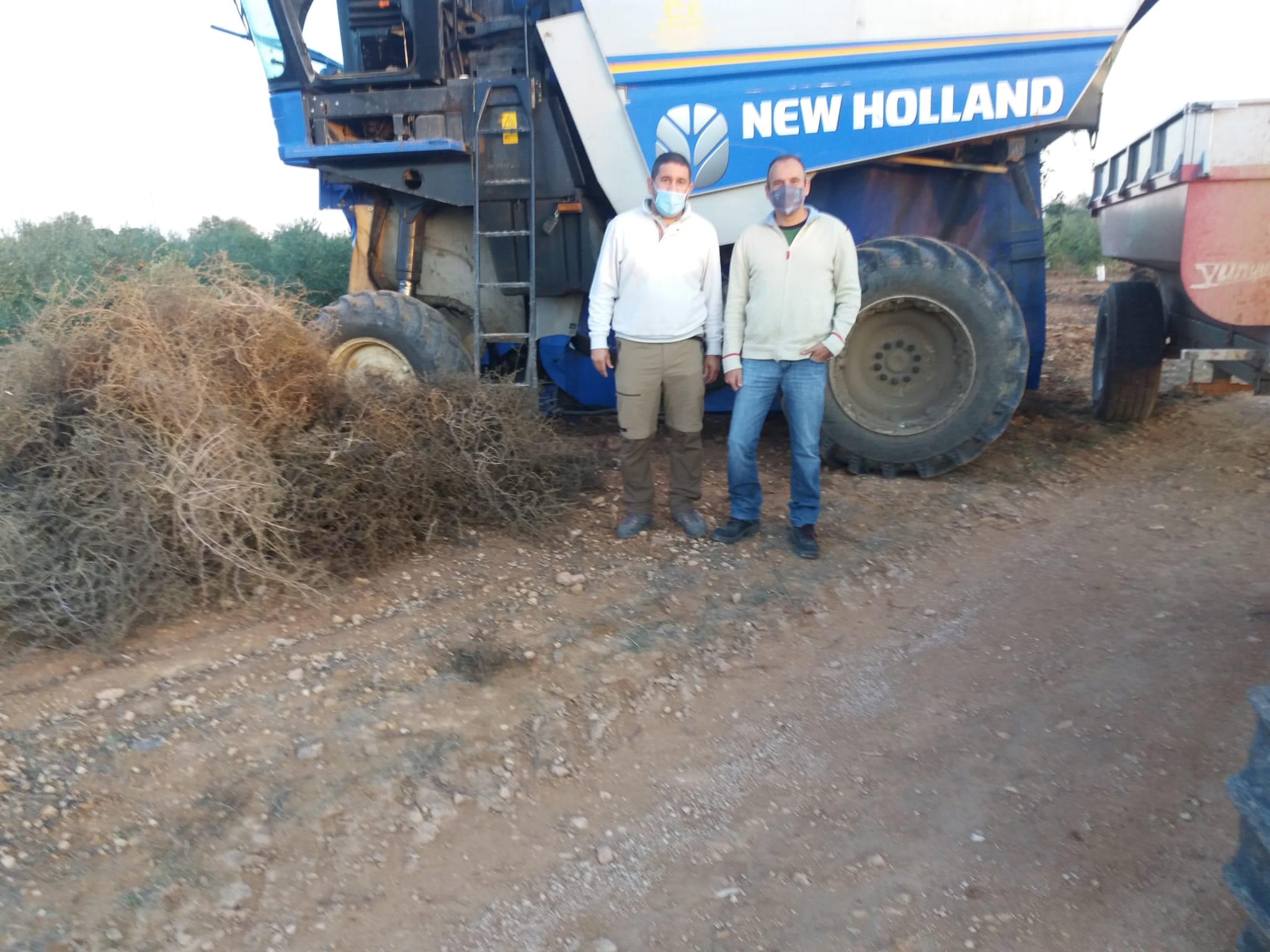 Línea de ayudas para los agricultores de Herencia Línea de ayudas para los agricultores de Herencia