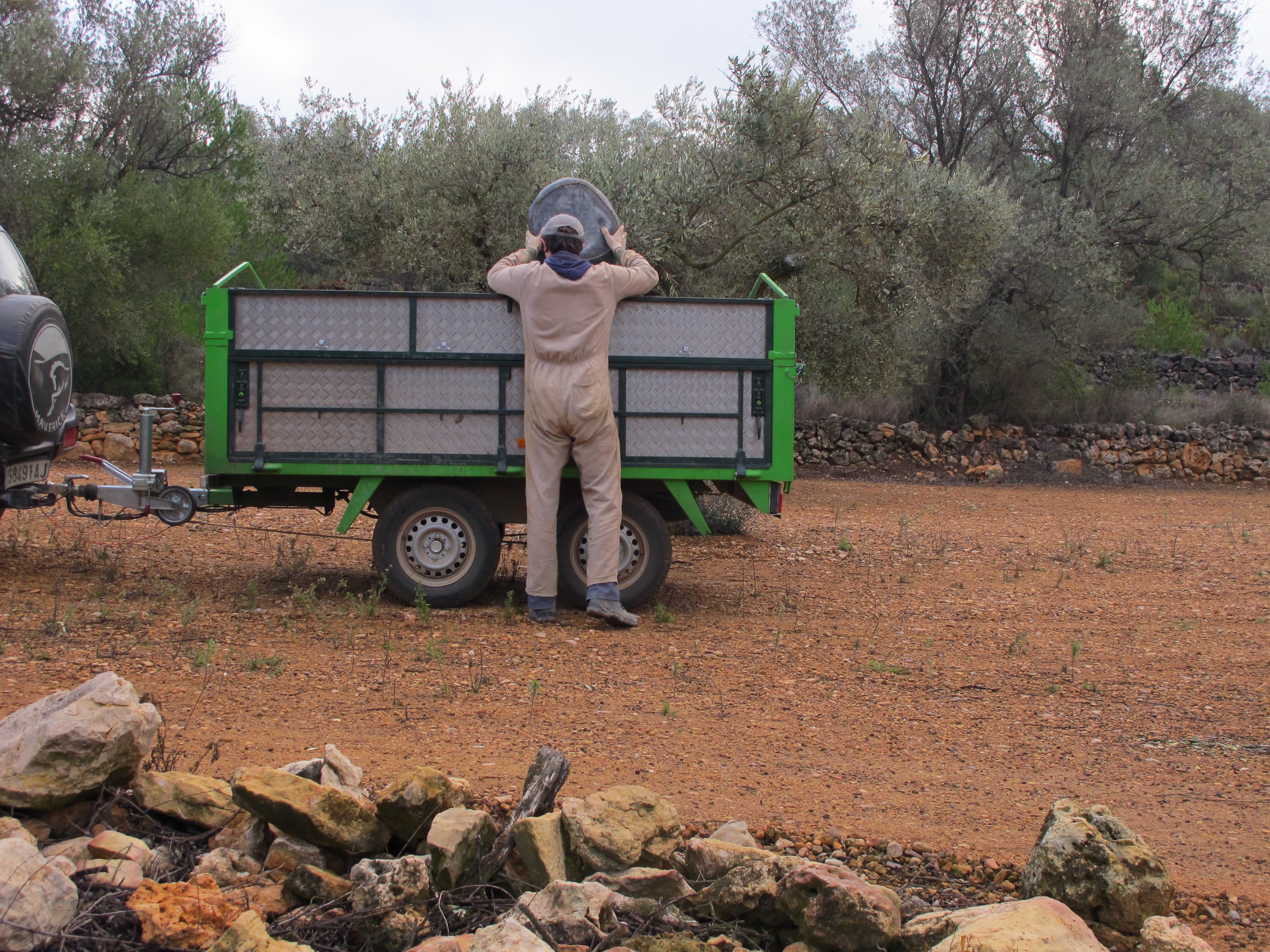 Los agricultores podrán pedir a partir de mañana la solicitud única de las ayudas directas de la PAC Los agricultores podrán pedir a partir de mañana la solicitud única de las ayudas directas de la PAC