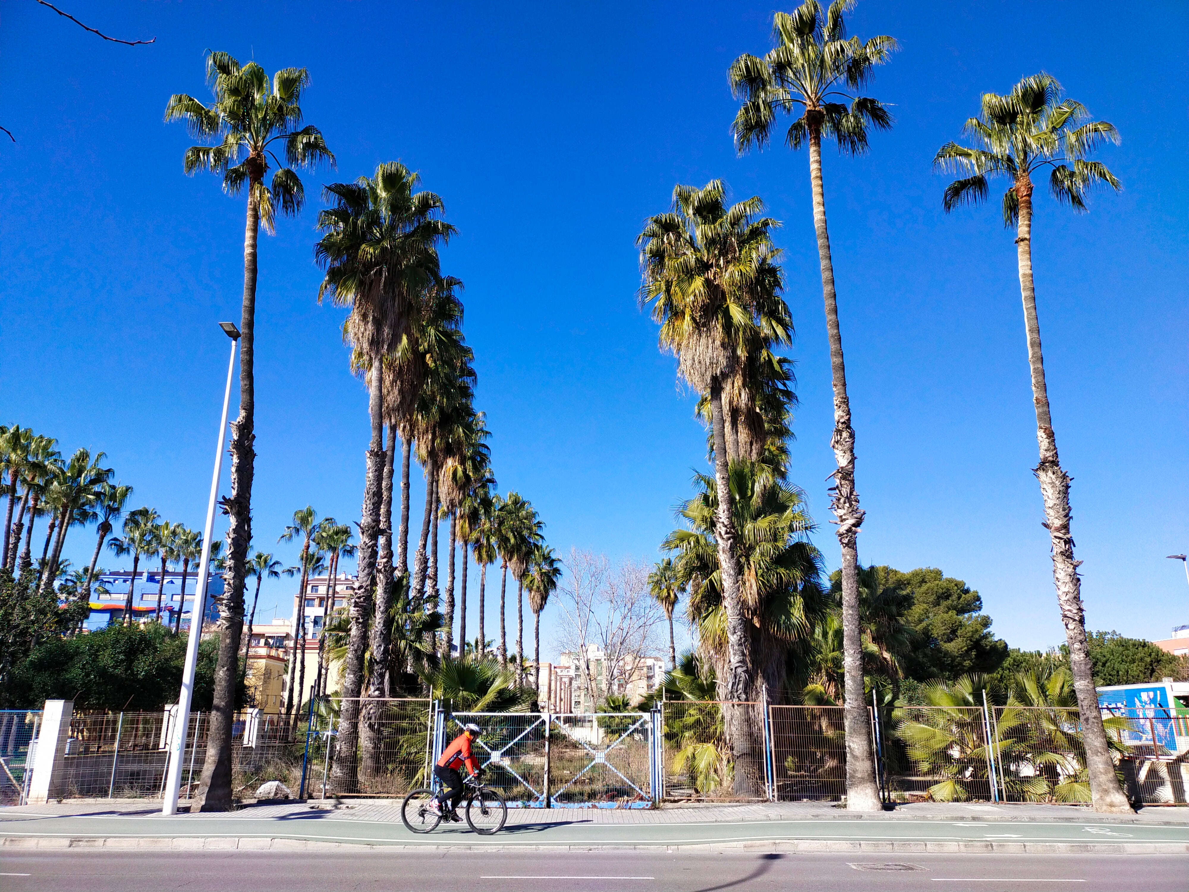 Port Castelló construirá una pista de baloncesto en los antiguos viveros del Grau de Castelló Port Castelló construirá una pista de baloncesto en los antiguos viveros del Grau de Castelló