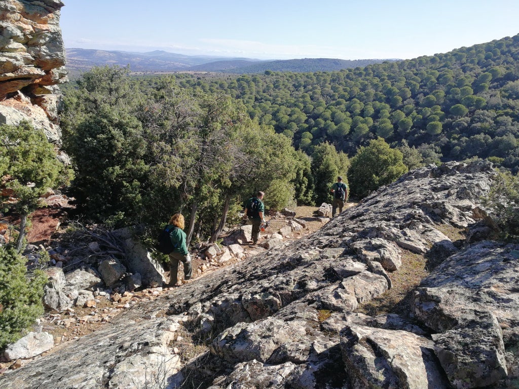 En Viso del Marqués finaliza el programa RECUAL "Aprovechamiento forestal" En Viso del Marqués finaliza el programa RECUAL "Aprovechamiento forestal"