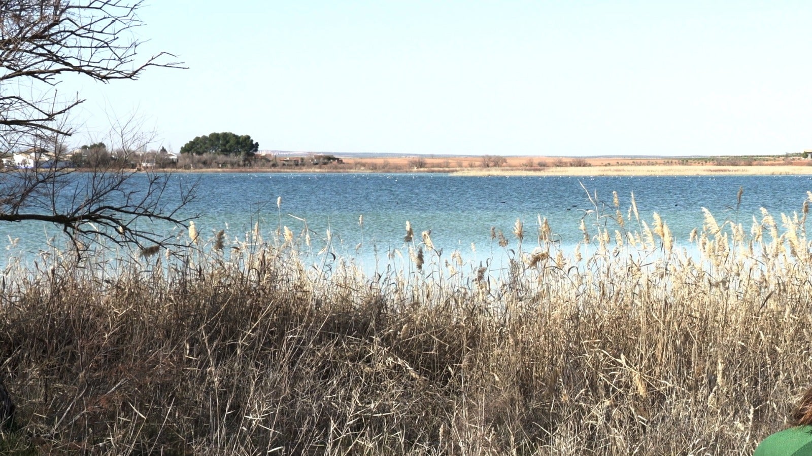 Villafranca de los Caballeros pondrá en valor sus lagunas el Día Mundial de los Humedales Villafranca de los Caballeros pondrá en valor sus lagunas el Día Mundial de los Humedales