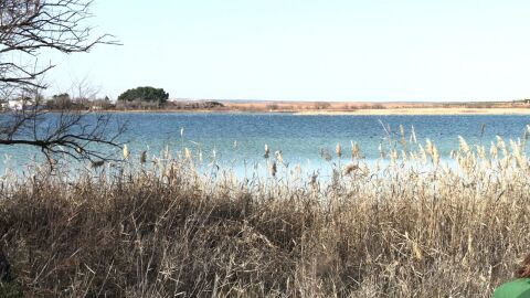 Lagunas de Villafranca de los Caballeros