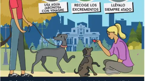‘Cuida Albacete’ recuerda a los dueños de mascotas la obligación de llevarlos atados y de limpiar los excrementos ‘Cuida Albacete’ recuerda a los dueños de mascotas la obligación de llevarlos atados y de limpiar los excrementos