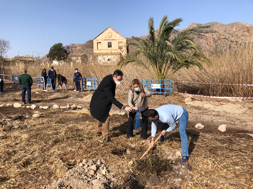 Orihuela celebra el ‘Día del Árbol de la Comunidad Valenciana’ con la plantación de casi un centenar de ejemplares Orihuela celebra el ‘Día del Árbol de la Comunidad Valenciana’ con la plantación de casi un centenar de ejemplares