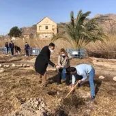 Orihuela celebra el ‘Día del Árbol de la Comunidad Valenciana’ con la plantación de casi un centenar de ejemplares Orihuela celebra el ‘Día del Árbol de la Comunidad Valenciana’ con la plantación de casi un centenar de ejemplares