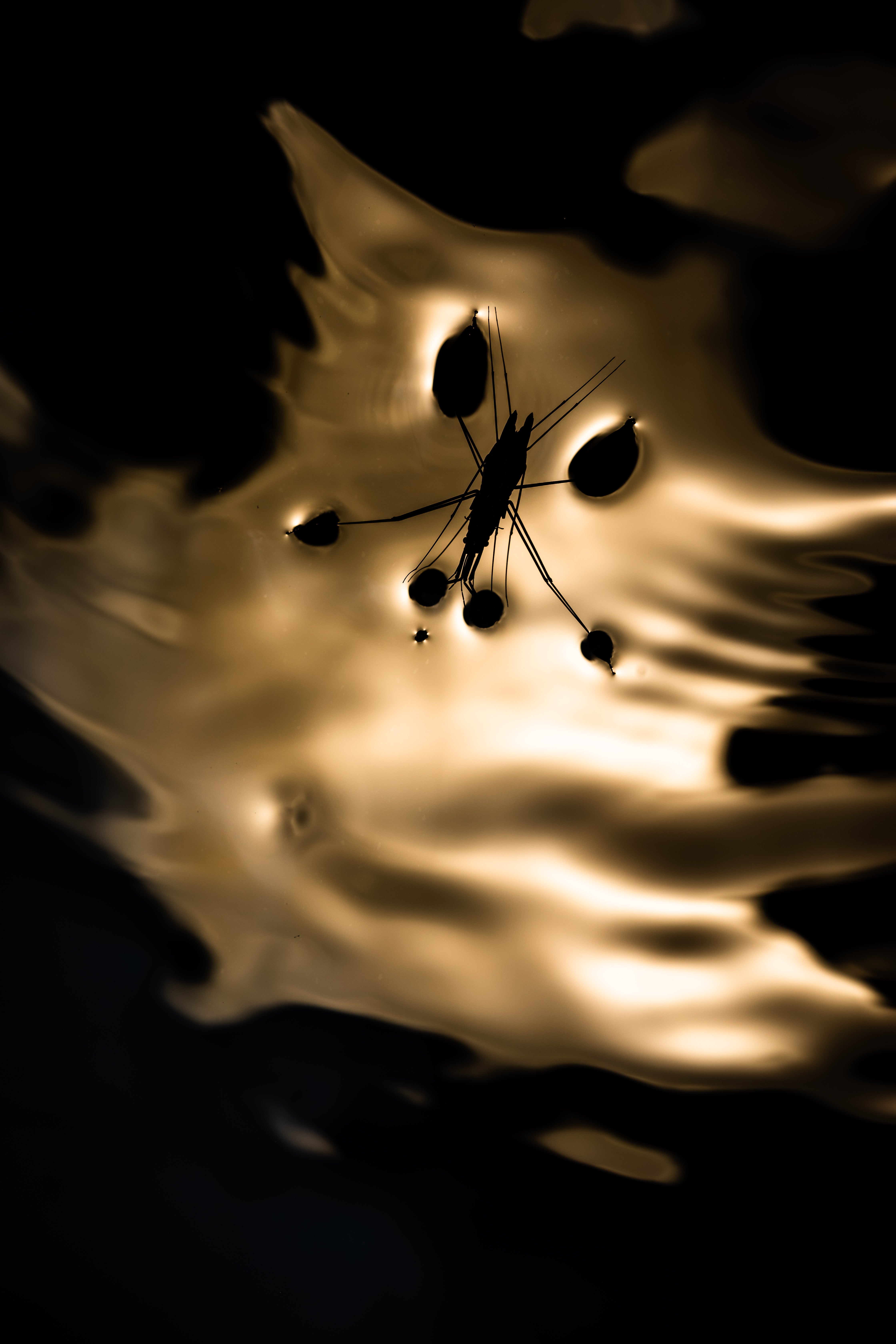 Ya disponibles los ganadores de nuestro concurso de fotografía de Espacios Naturales de la Provincia de Almería Ya disponibles los ganadores de nuestro concurso de fotografía de Espacios Naturales de la Provincia de Almería