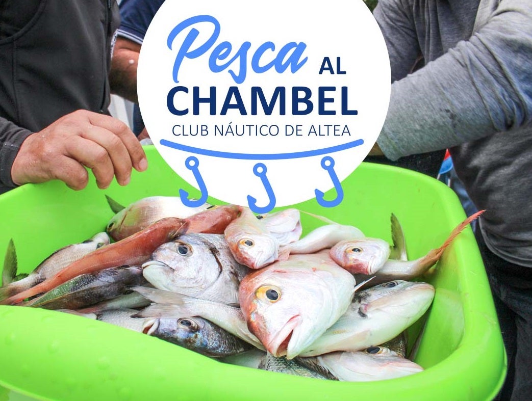 El Club Náutico de Altea organiza una nueva edición del concurso de pesca al chambel El Club Náutico de Altea organiza una nueva edición del concurso de pesca al chambel