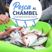 Concurso de Pesca al Chambel en Altea Concurso de Pesca al Chambel en Altea