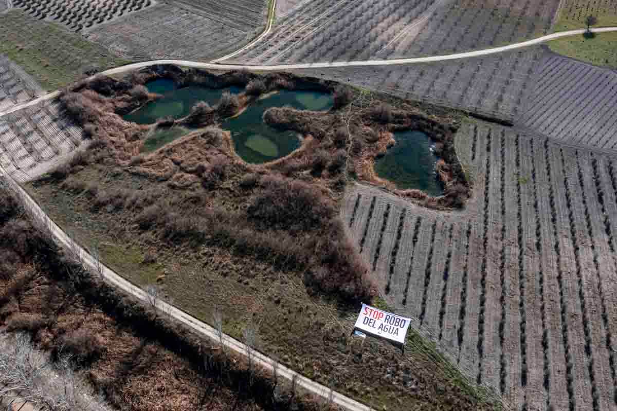 Despliegan una pancarta en las Tablas de Daimiel para exigir el "fin de la impunidad" en el robo de agua Despliegan una pancarta en las Tablas de Daimiel para exigir el "fin de la impunidad" en el robo de agua