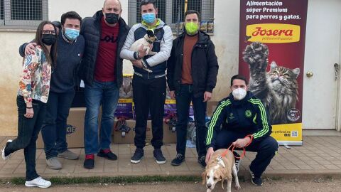 como el perro y el gato Ciudad Real