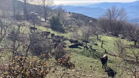 ONDA CERO ALMERIA ONDA CERO ALMERIA