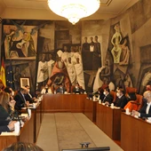 Pleno de la Diputación de Ciudad Real Pleno de la Diputación de Ciudad Real