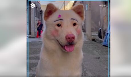 Mei maquillado