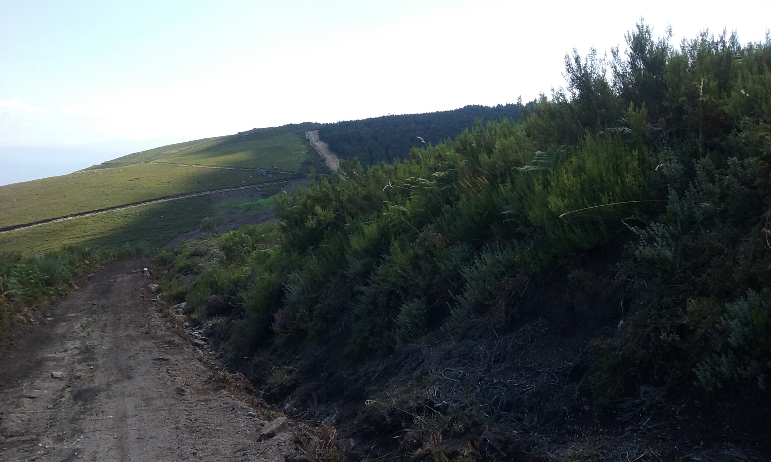 Traballos preventivos en montes de Carballeda de Valdeorras, A Pobra de Trives e A Veiga Traballos preventivos en montes de Carballeda de Valdeorras, A Pobra de Trives e A Veiga